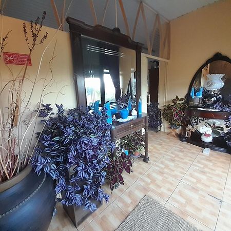 Hotel Gite Cantinho Davo Campea Buitenkant foto